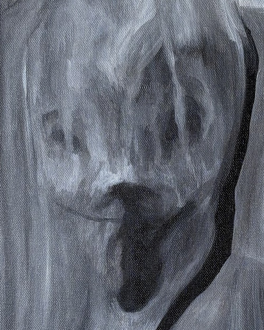 Behind the Curtain, detail of the stretched face behind the curtain